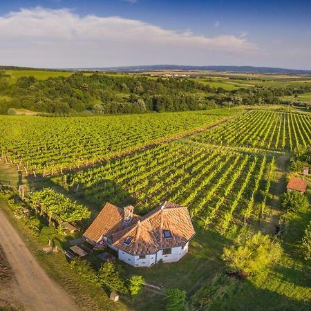 Robinson Vila Kitokret Kutjevo Buitenkant foto
