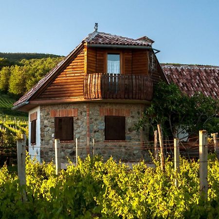 Robinson Vila Kitokret Kutjevo Buitenkant foto
