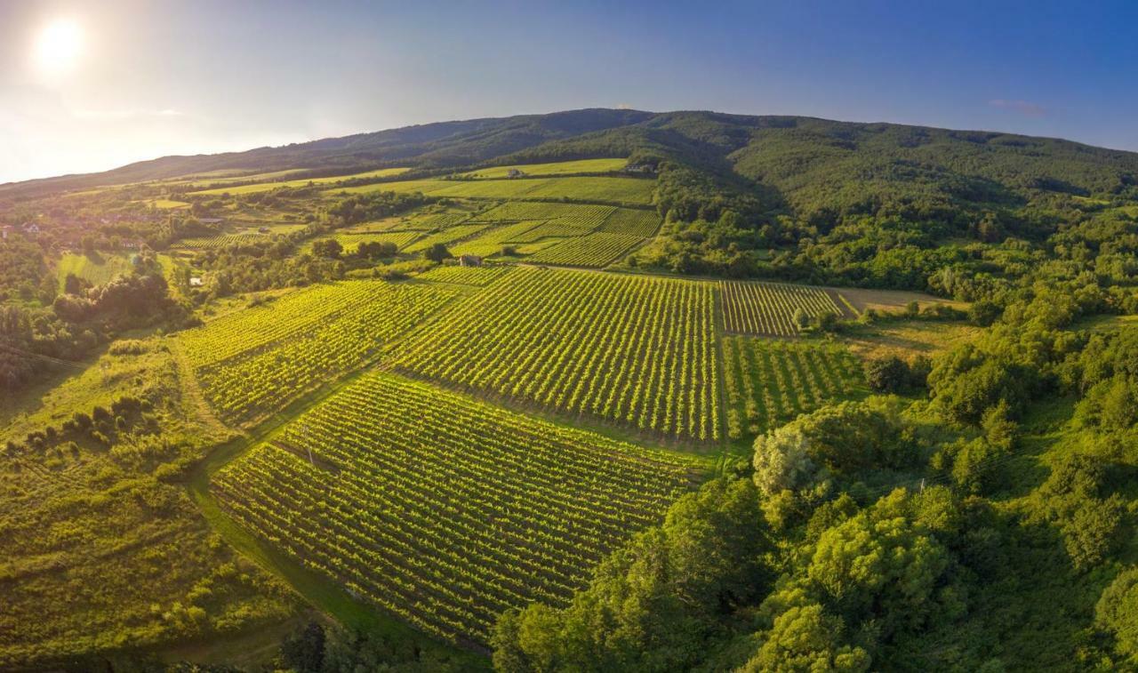 Robinson Vila Kitokret Kutjevo Buitenkant foto