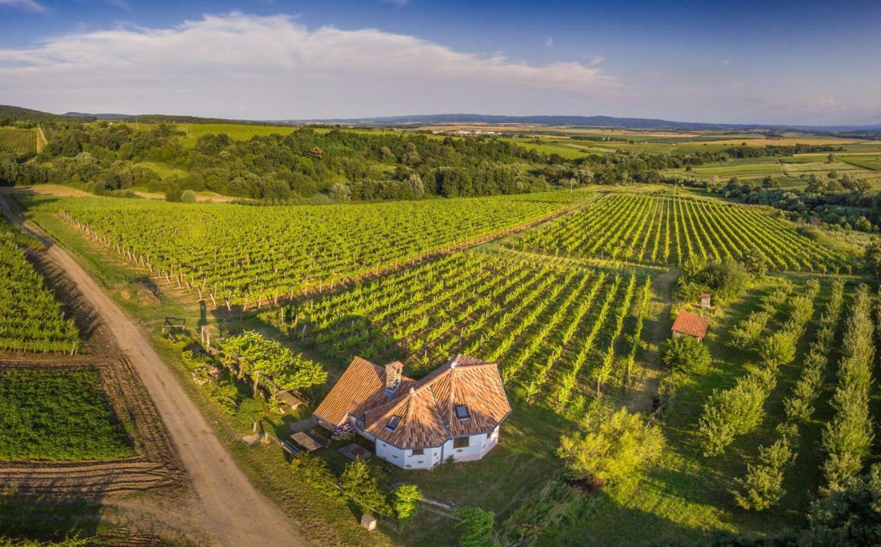 Robinson Vila Kitokret Kutjevo Buitenkant foto