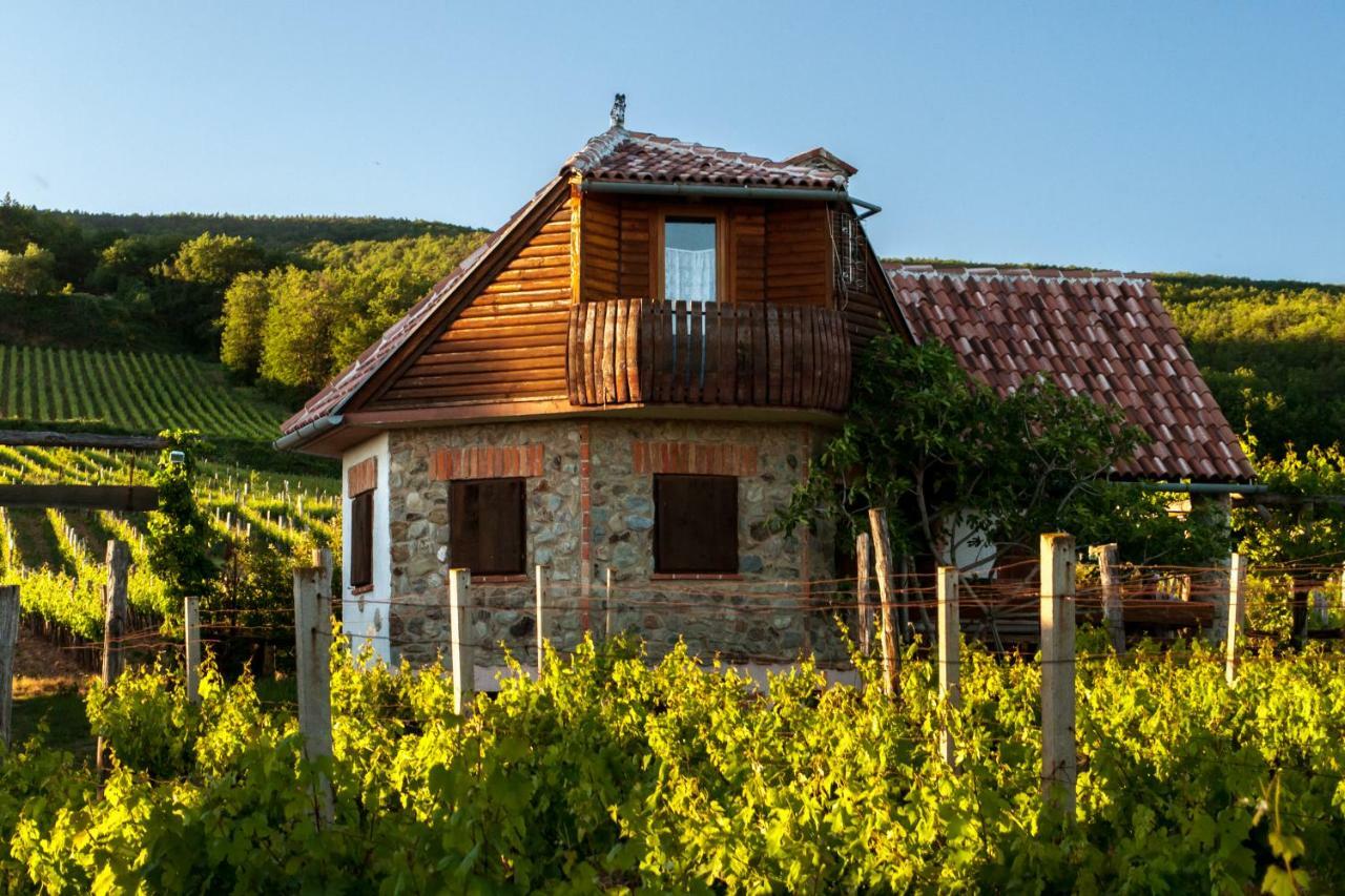 Robinson Vila Kitokret Kutjevo Buitenkant foto
