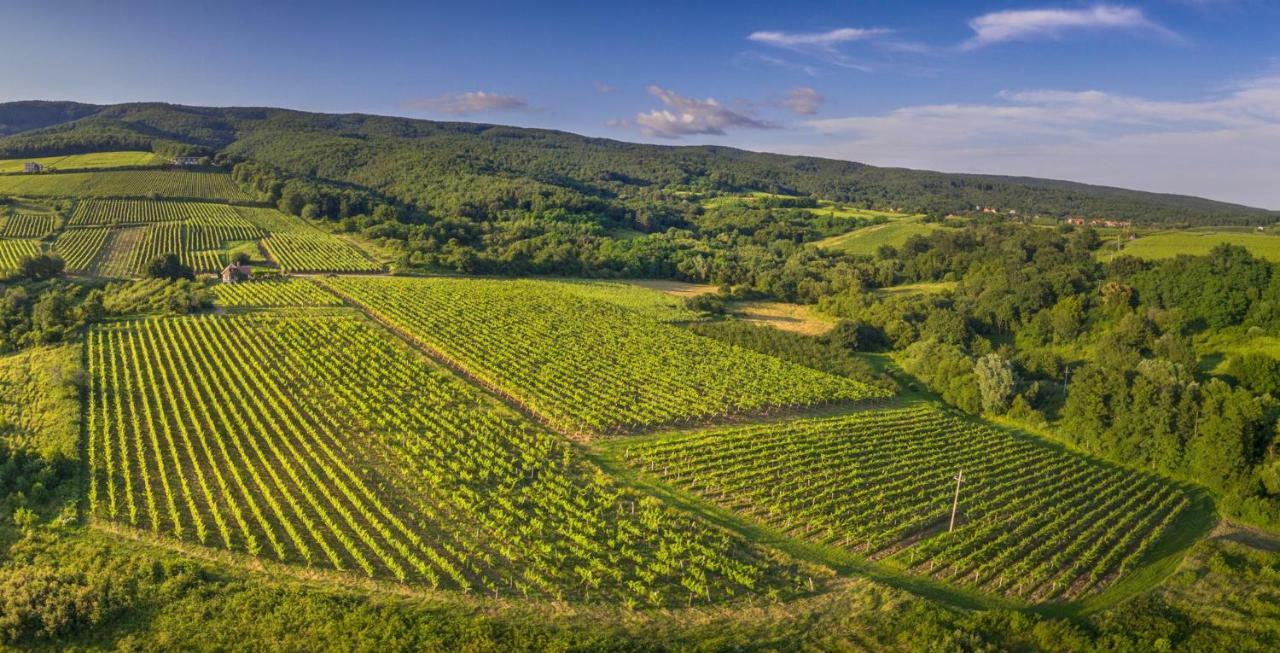 Robinson Vila Kitokret Kutjevo Buitenkant foto