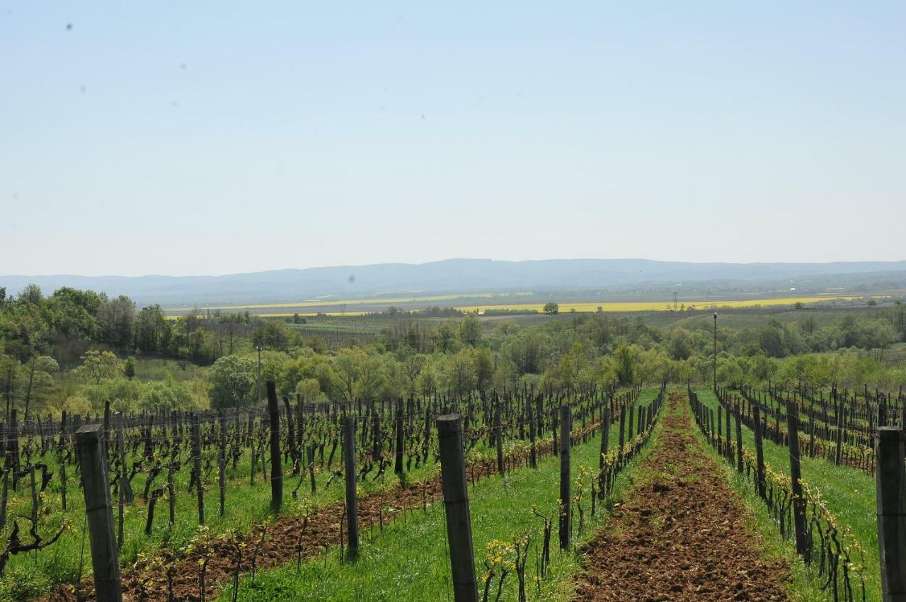 Robinson Vila Kitokret Kutjevo Buitenkant foto