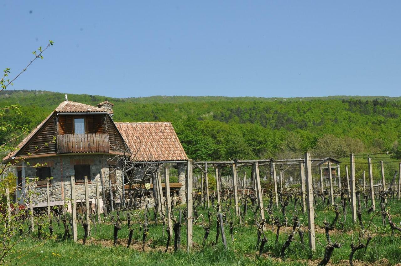 Robinson Vila Kitokret Kutjevo Buitenkant foto