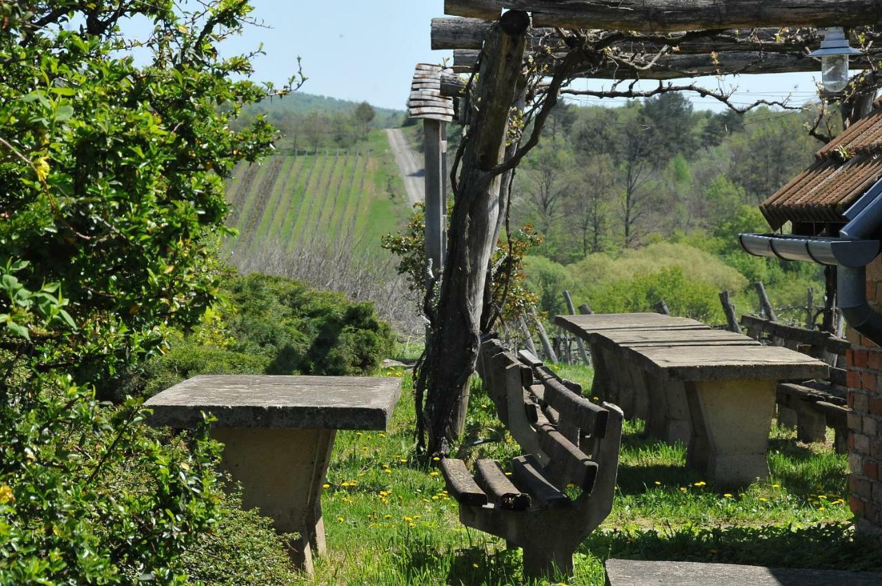 Robinson Vila Kitokret Kutjevo Buitenkant foto